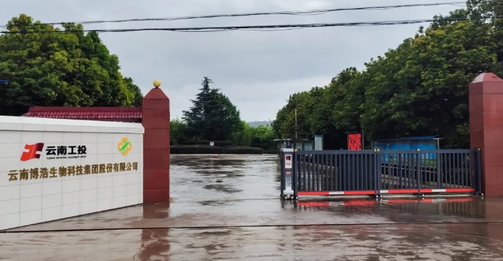 睿智革新，簡約時尚｜輕奢美